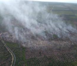 Iluatrasi hotspot muncul di Riau (foto/int)